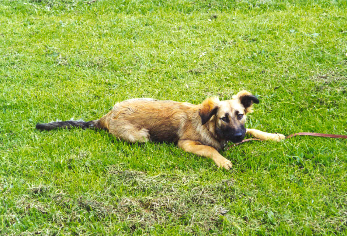 I've had enough of all this photography thing !